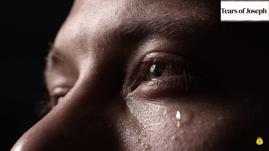 How to Understand The Tears of Joseph